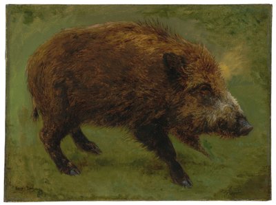 Le sanglier - Rosa Bonheur