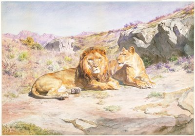  - Rosa Bonheur