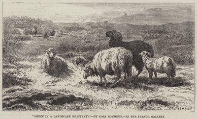 Moutons dans un paysage, Bretagne - Rosa Bonheur