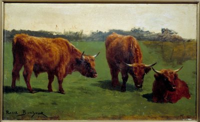 Trois études d