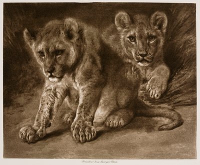  - Rosa Bonheur
