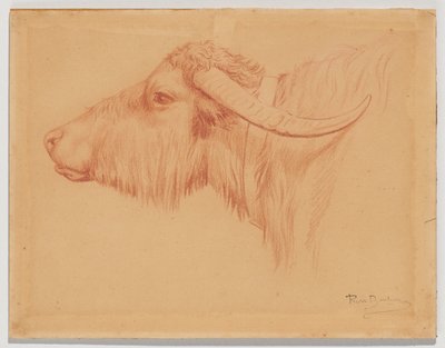  - Rosa Bonheur