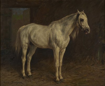 Cheval blanc - Rosa Bonheur