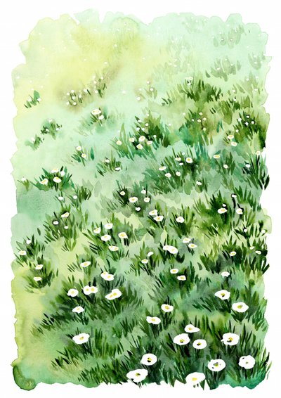 Fleurs de la prairie verte - Rosana Laiz Blursbyai