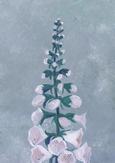 Fleur de digitale blanche - Rosana Laiz Blursbyai