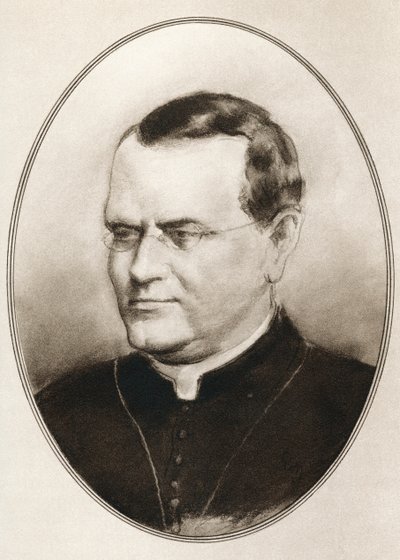 Gregor Johann Mendel, des Biographies Vivantes des Grands Scientifiques - Ross Gordon