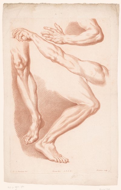 Différentes vues de deux jambes et deux bras - Louis François Roubillac