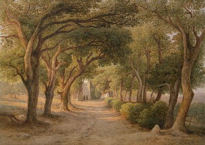 Castel Gandolfo - Rudolf Müller