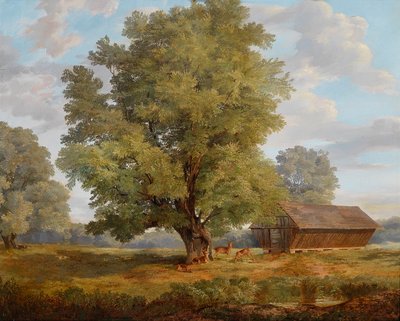 Cerfs dans la Praterau - Rudolf Swoboda