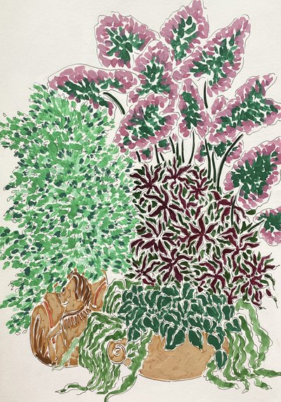 Plantes en pot aux couleurs vives - Rushati Chowdhury