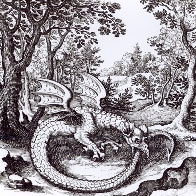 Un Dragon dans la Forêt, de 