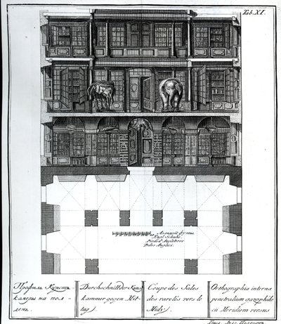 Vue en coupe de la Salle des Raretés vers le sud, illustration dans Chambers of the St. Petersburg Imperial Academy of Sciences Library and Gallery showing Plans, Facades and Profiles par Johann - Russian School