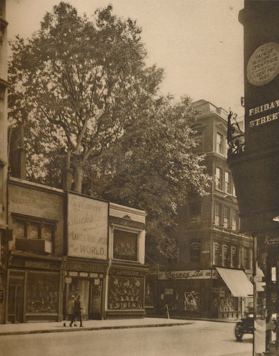 Un habitant favorisé de la ville : le platane à Cheapside, vers 1935 - SO Gorse