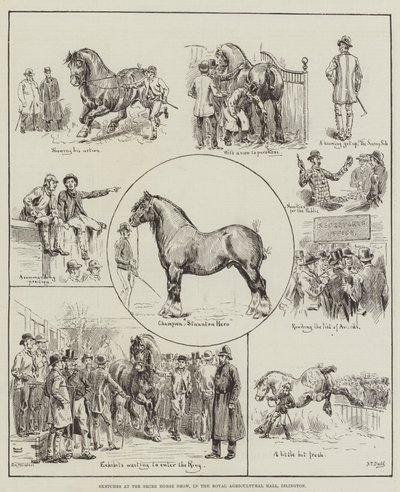 Croquis au Shire Horse Show, dans le Royal Agricultural Hall, Islington - S.T. Dadd