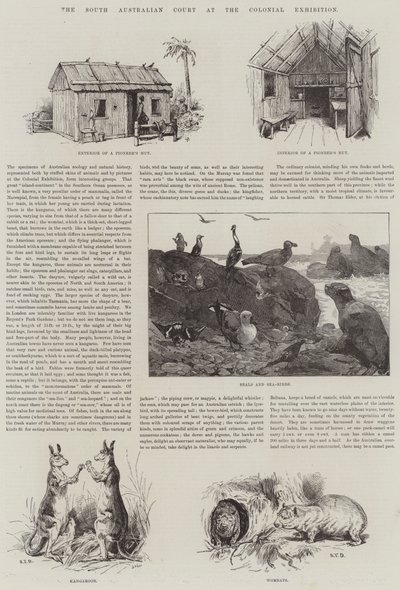 Le tribunal sud-australien à l