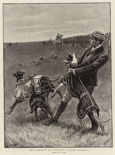 La réunion de la Coupe de Waterloo, A Rare Handful - S.T. Dadd