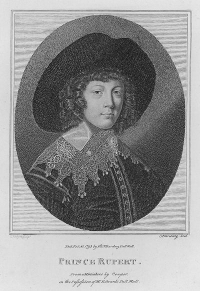 Prince Rupert - S. (after) Harding