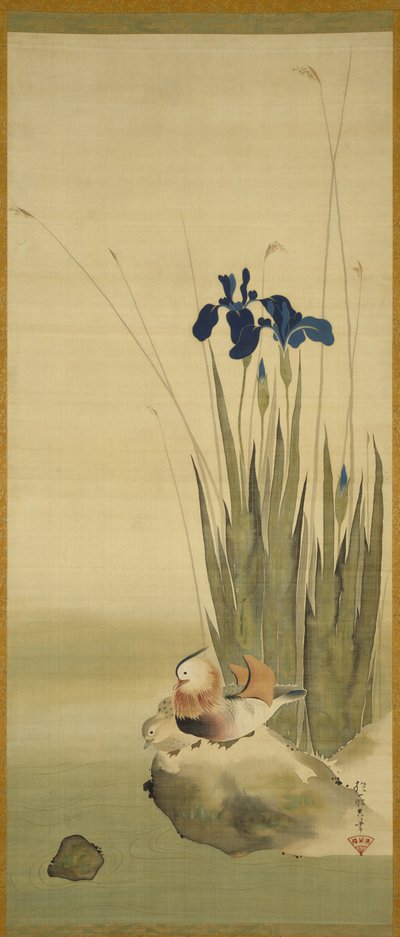 Iris et Canards Mandarins - Sakai Hoitsu