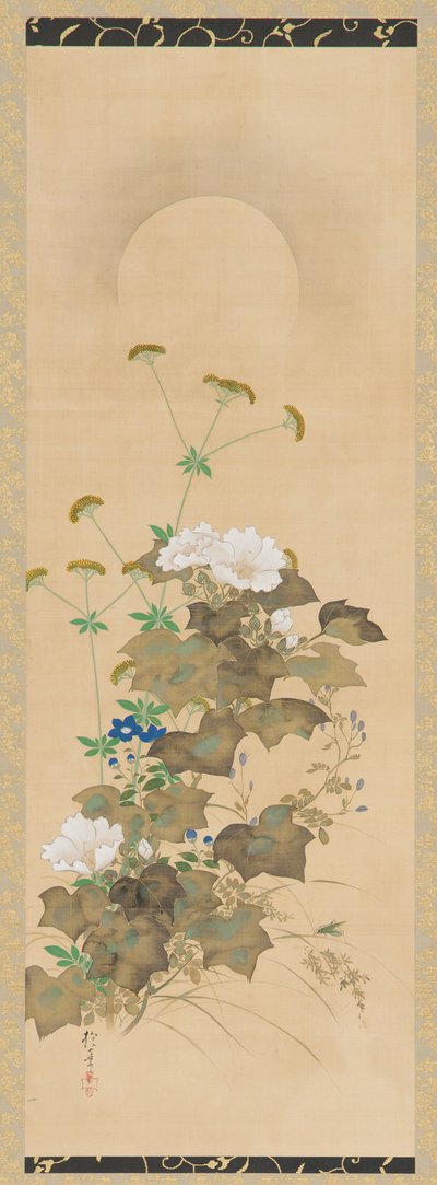Lune et plantes d