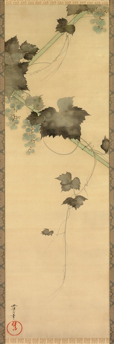 Vignes - Sakai Oho