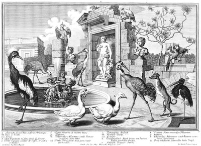 Grues et canards - Salomon Kleiner