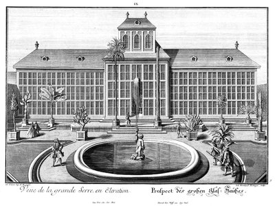 Perspective de la grande serre - Salomon Kleiner