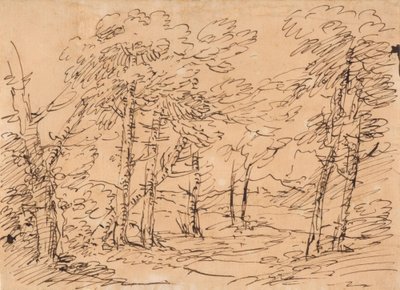 Paysage avec des arbres et des montagnes à l