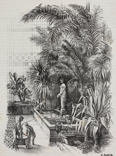Laocoon et ses fils, statue romaine, lithographie de Salvatore Puglia de Poliorama Pittoresco, n 1, 13 août - Salvatore Puglia