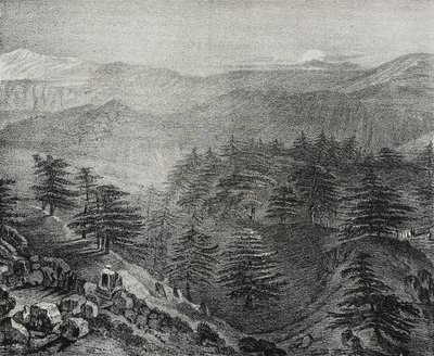 Vue du Mont Liban avec ses célèbres cèdres, Liban, lithographie de Salvatore Puglia de Poliorama Pittoresco, n 10, 15 octobre - Salvatore Puglia