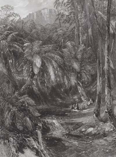 Australie : Une vallée de fougères - Samuel (after) Prout
