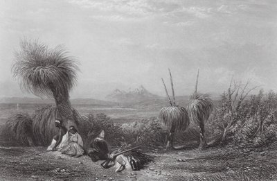 Australie : Les plaines de l