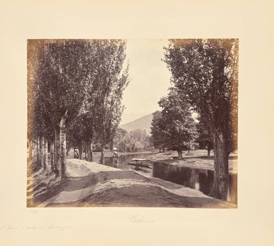  - Samuel Bourne