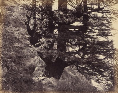  - Samuel Bourne