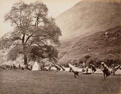 Mussucks pour traverser la rivière Beas en dessous de Bajoura - Samuel Bourne