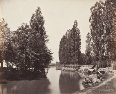 Rivière avec des arbres (Inde) - Samuel Bourne