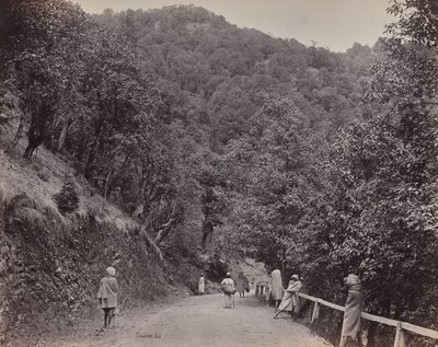 Shimla. Le Mall ou la rue principale - Samuel Bourne