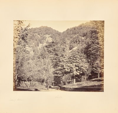 Simla ; Jakko, depuis "Oakover" (Vue générale depuis la route de Tonga) - Samuel Bourne