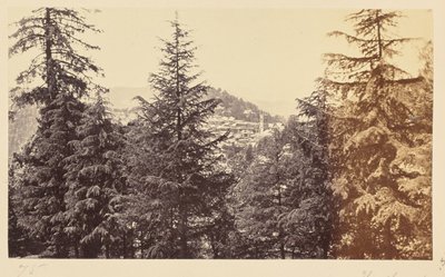 Simla ; l
