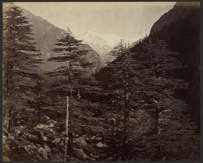 Pics enneigés près de Gangotri, depuis Bhairamghati - Samuel Bourne