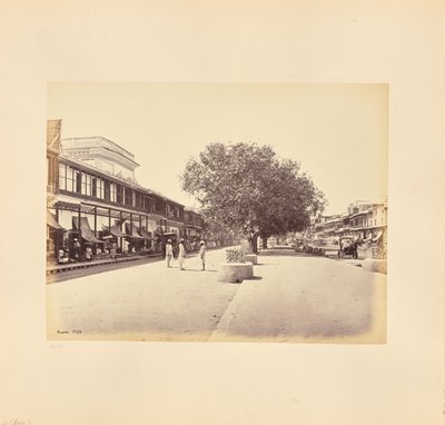Le Chandni-Chouk, rue principale de Delhi - Samuel Bourne