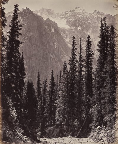  - Samuel Bourne