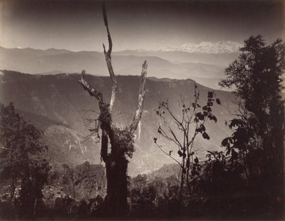Vue depuis Senchal - Samuel Bourne