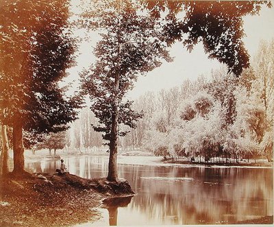 Vue sur le canal de Dhul, Cachemire, c.1865 - Samuel Bourne
