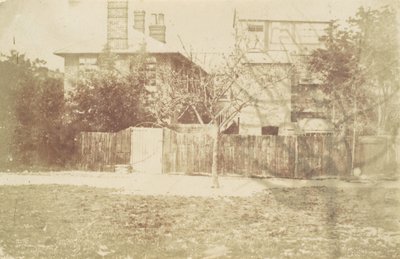 Arbre dans la cour, années 1850 - Samuel Buckle