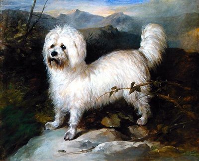 Petit chien blanc dans un paysage - Samuel Coleman