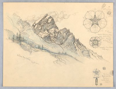 Antelao, depuis Cortina, avec études de fleurs - Samuel Colman