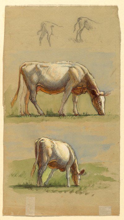 Bétail, deux vaches broutant et les dos des veaux - Samuel Colman
