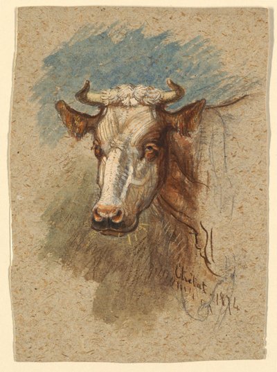 Tête de vache, Étretat - Samuel Colman