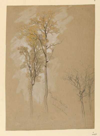 Chênes, Lady Wood Lane, Irvington - Samuel Colman