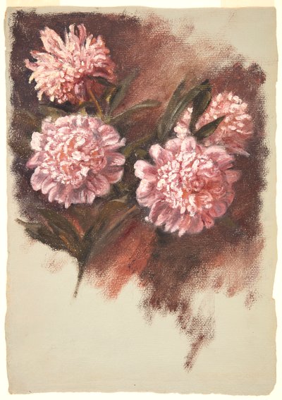Pivoines rouges - Samuel Colman